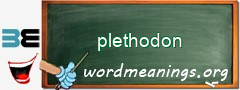 WordMeaning blackboard for plethodon